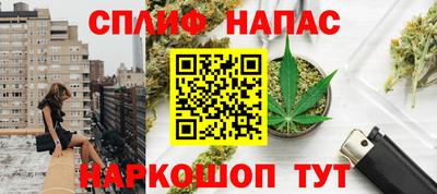 прущие грибы Новозыбков