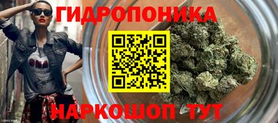 прущие грибы Новозыбков