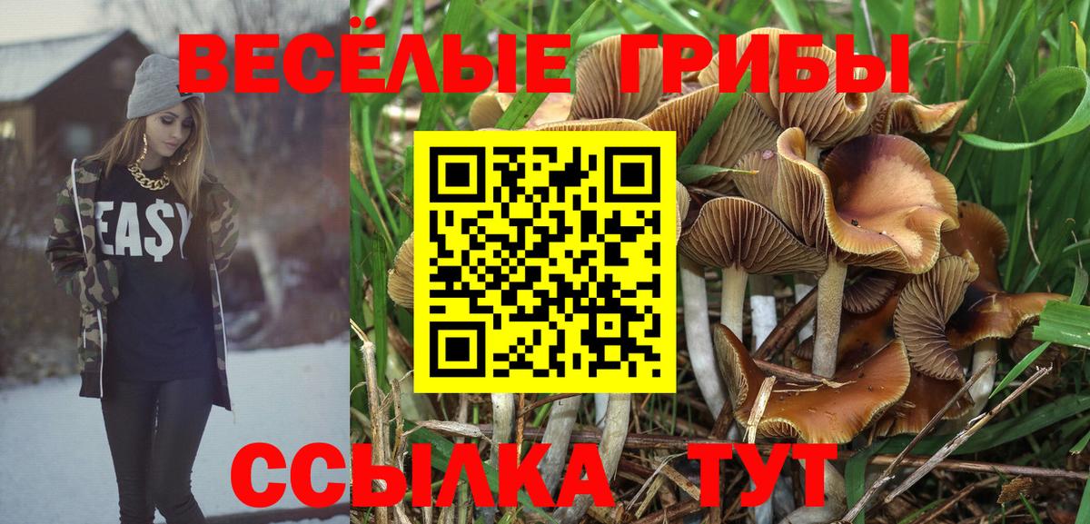 Псилоцибиновые грибы ЛСД Старая Купавна