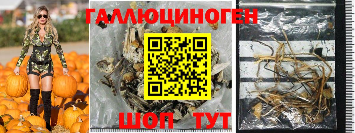 Галлюциногенные грибы Psilocybe  Вход с VPN  Псилоцибиновые грибы Psilocybine cubensis  даркнет сайт  Старая Купавна 
